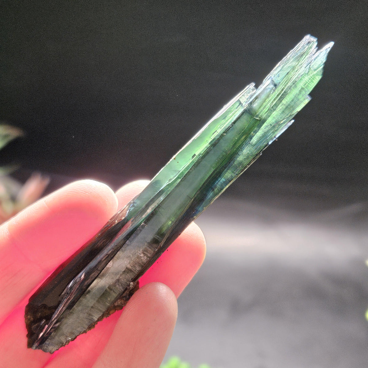 Vivianite Crystal Specimen