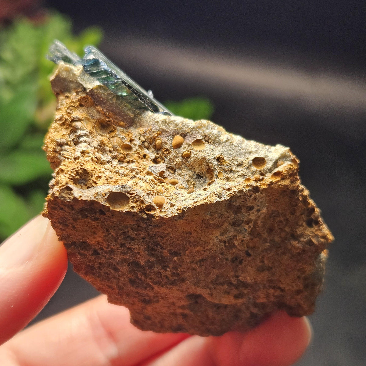 Vivianite Crystal Cluster 121.70g