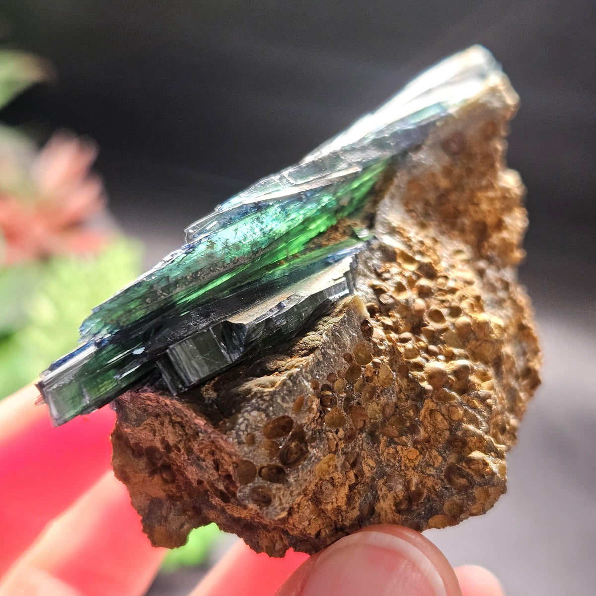 Vivianite Crystal Cluster 121.70g