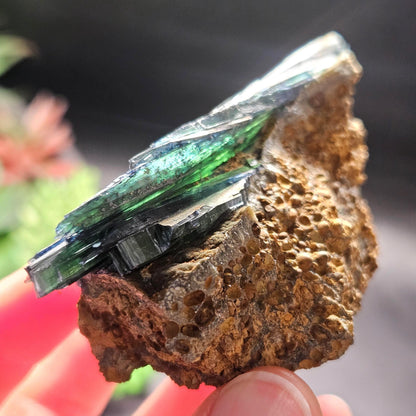 Vivianite Crystal Cluster 121.70g