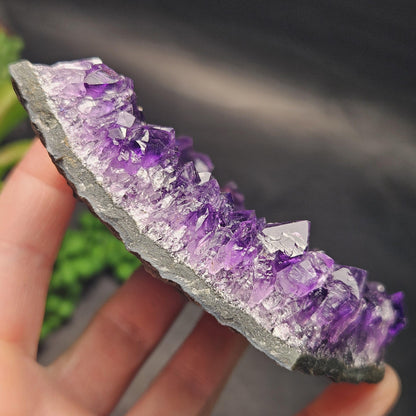 AAA Uruguay Amethyst Stalactite Cluster 226g