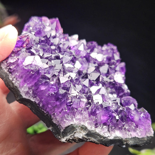 AAA Uruguay Amethyst Stalactite Cluster 226g