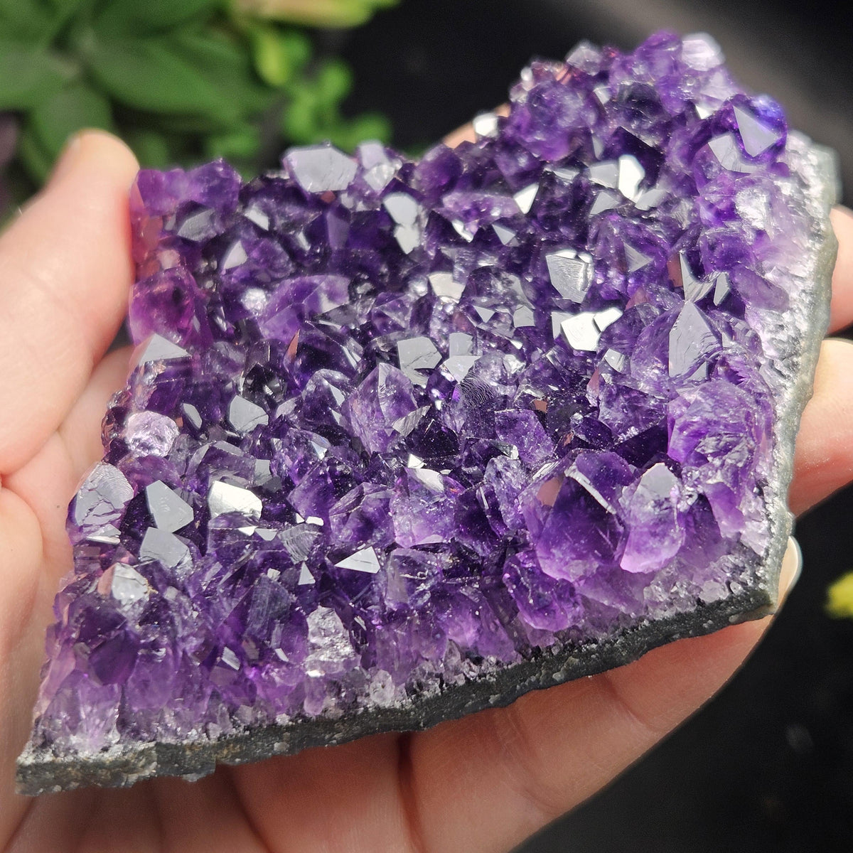 AAA Uruguay Amethyst Stalactite Cluster 226g
