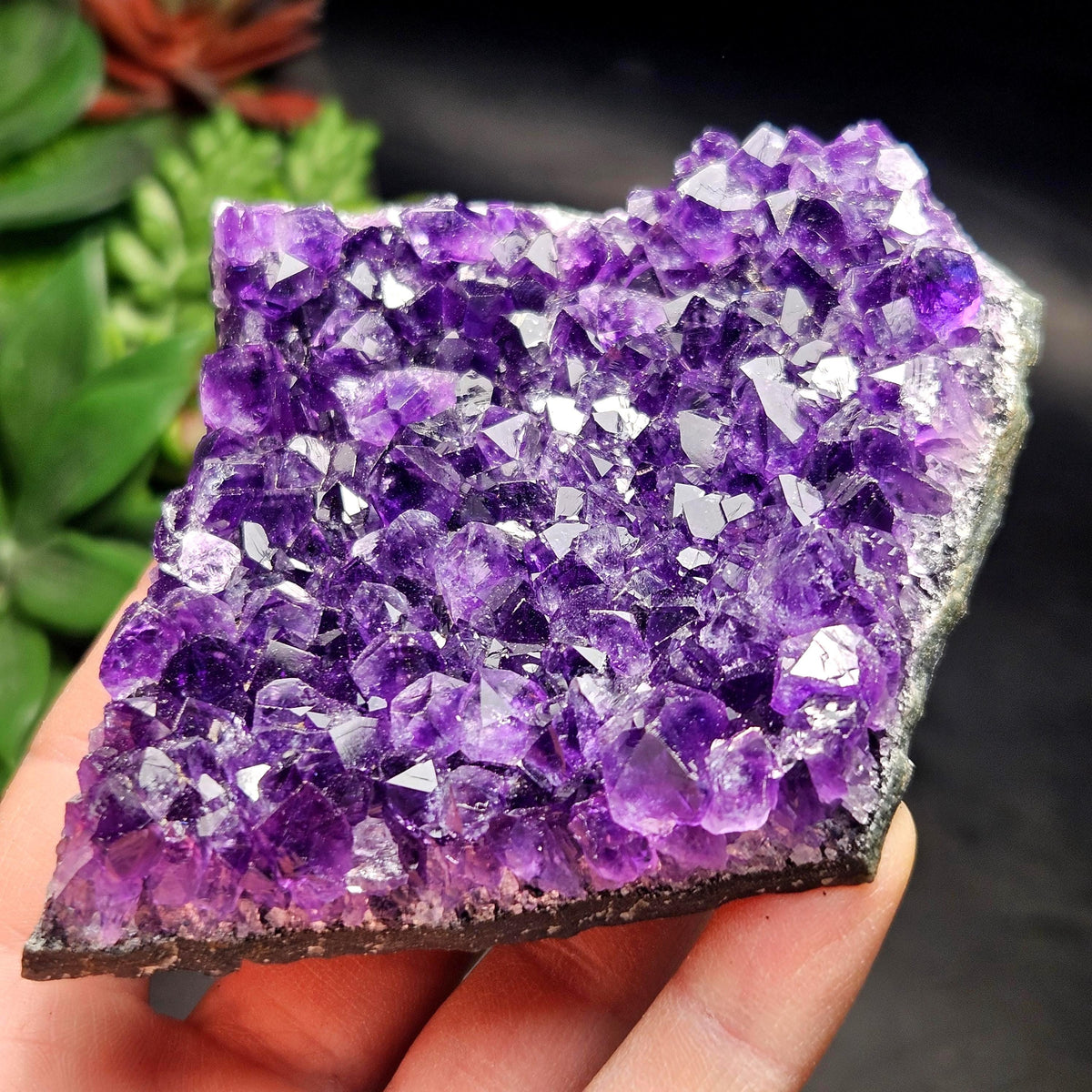 AAA Uruguay Amethyst Stalactite Cluster 226g