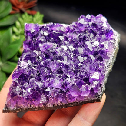 AAA Uruguay Amethyst Stalactite Cluster 226g