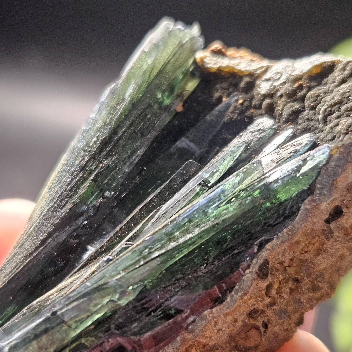 Vivianite Dragon Scale Crystal Specimen 92.41g