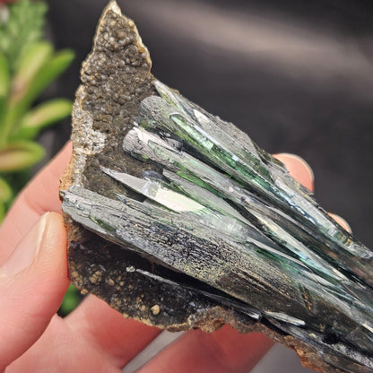 Vivianite Dragon Scale Crystal Specimen 92.41g