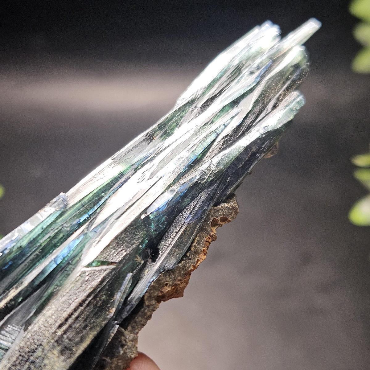 Vivianite Dragon Scale Crystal Specimen 92.41g