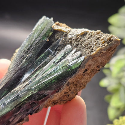 Vivianite Dragon Scale Crystal Specimen 92.41g