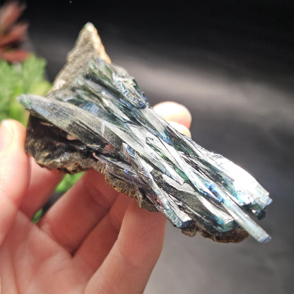 Vivianite Dragon Scale Crystal Specimen 92.41g
