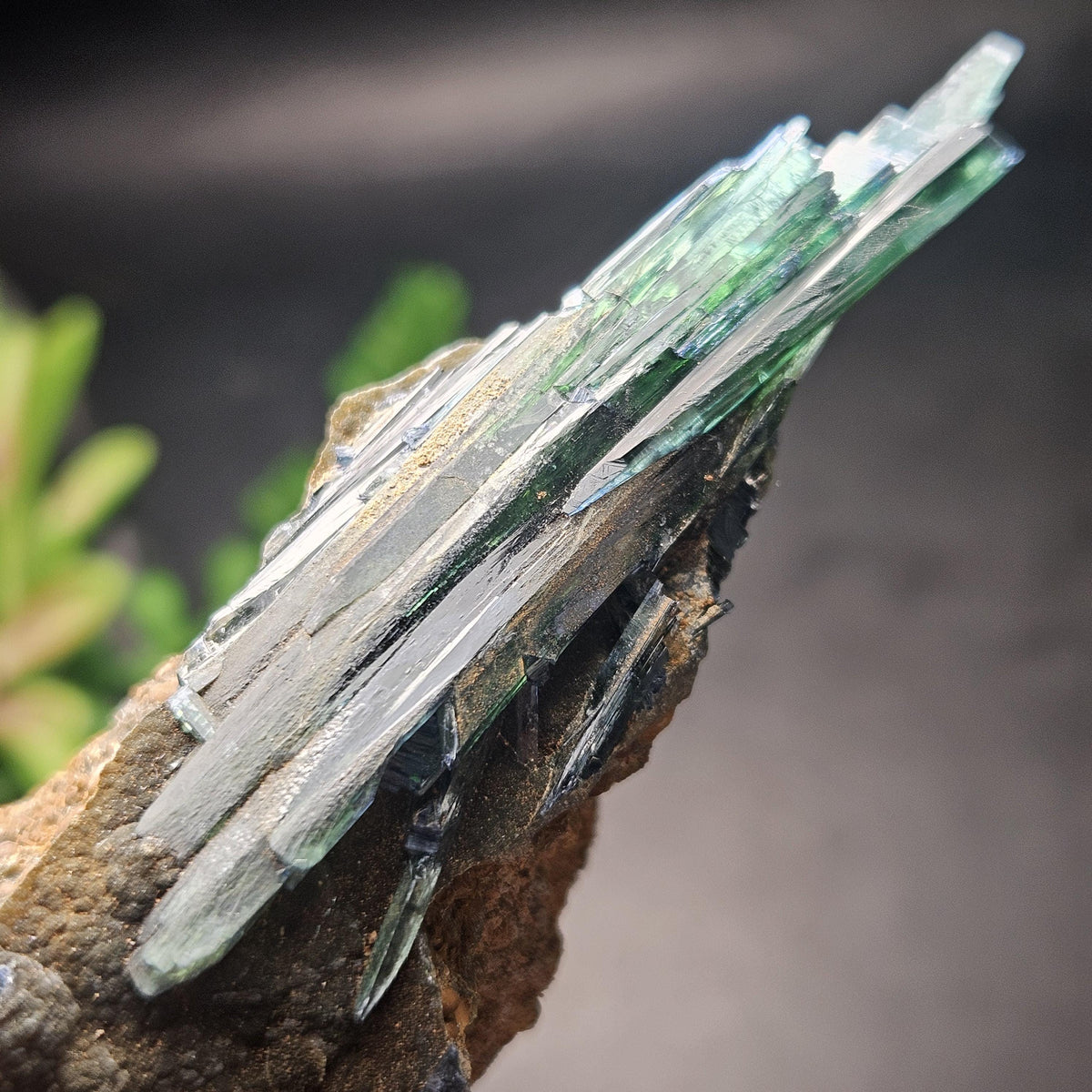 Vivianite Crystal Cluster 144.18g, Vivianite Specimen, Raw Blue