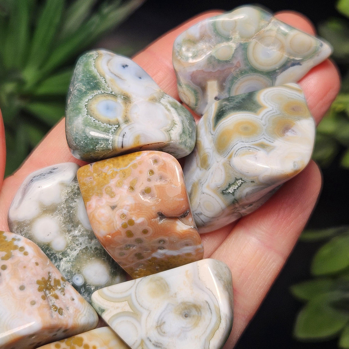 Vein 8 Ocean Jasper RARE