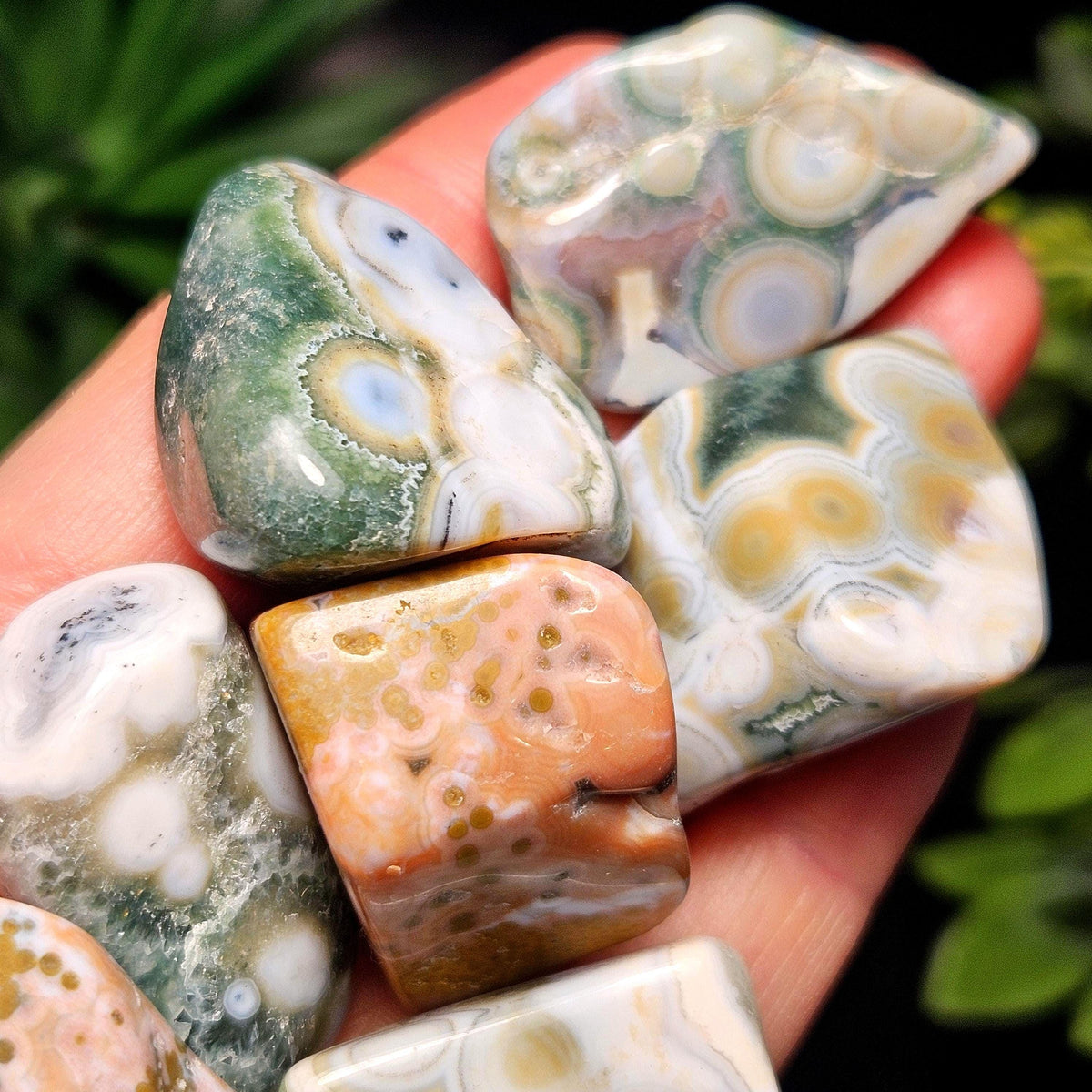 Vein 8 Ocean Jasper RARE