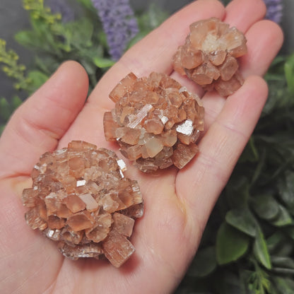 Aragonite Star Cluster