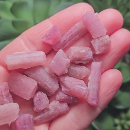 Pink Tourmaline Crystal