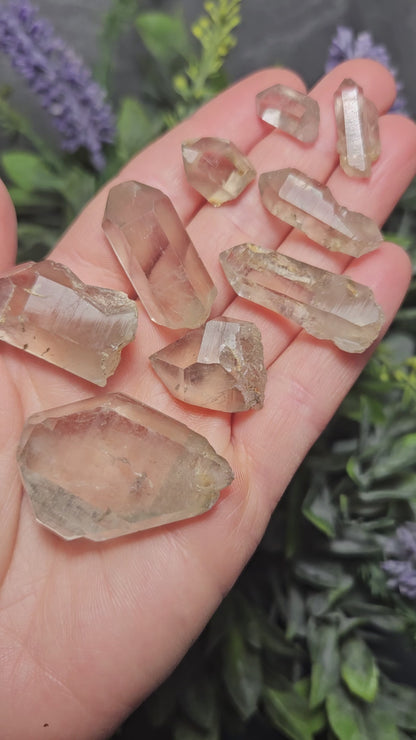 Smoky Lemurian Quartz