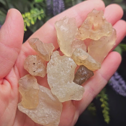 Libyan Desert Glass Specimen