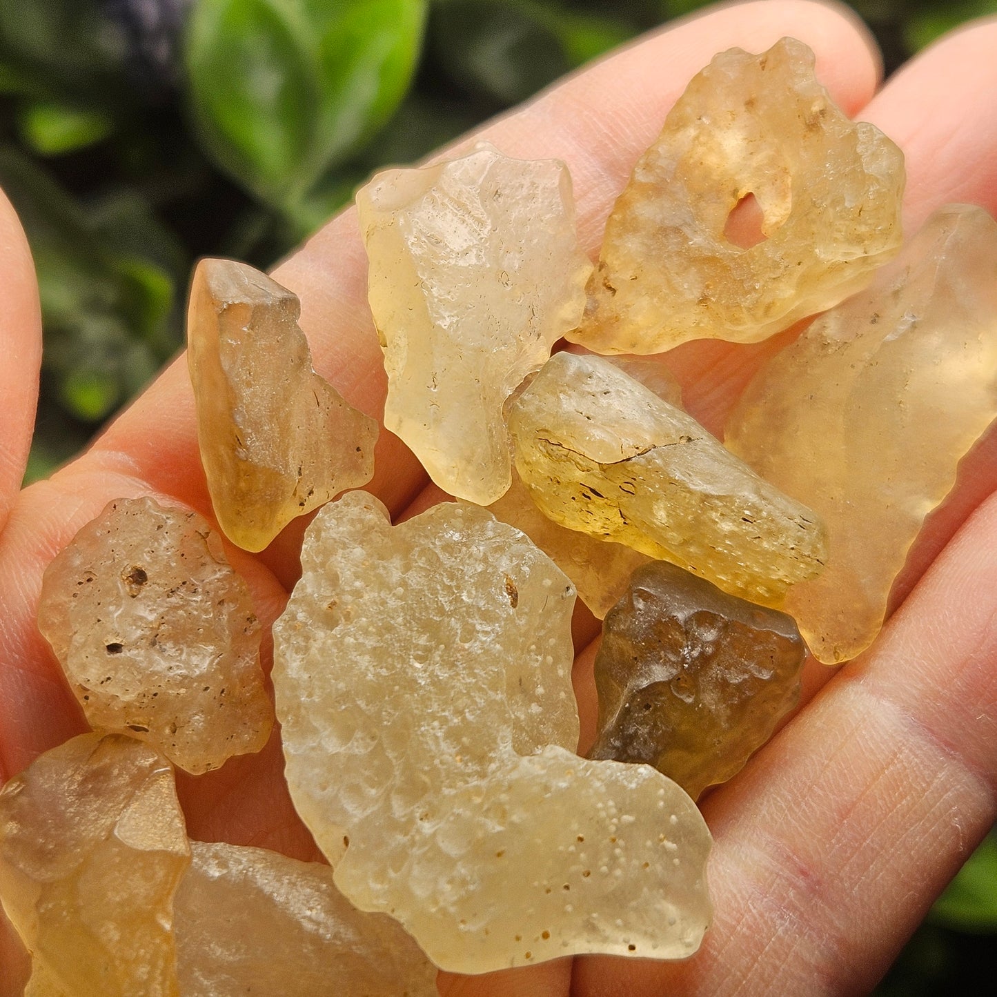 Libyan Desert Glass Specimen