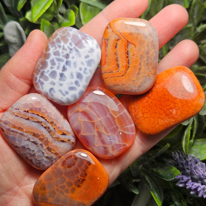Snakeskin Agate