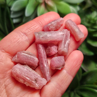 Pink Tourmaline Crystal