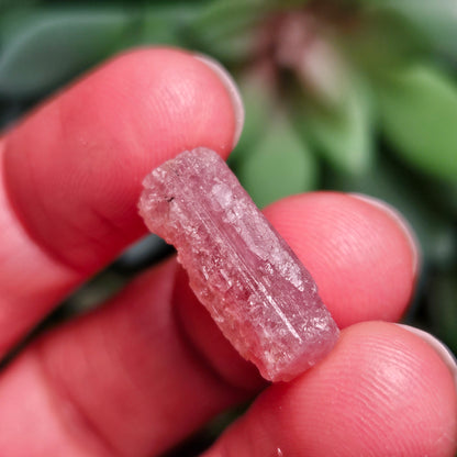Pink Tourmaline Crystal