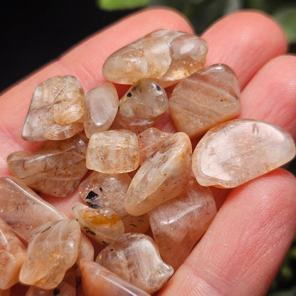 Rainbow Lattice Sunstone