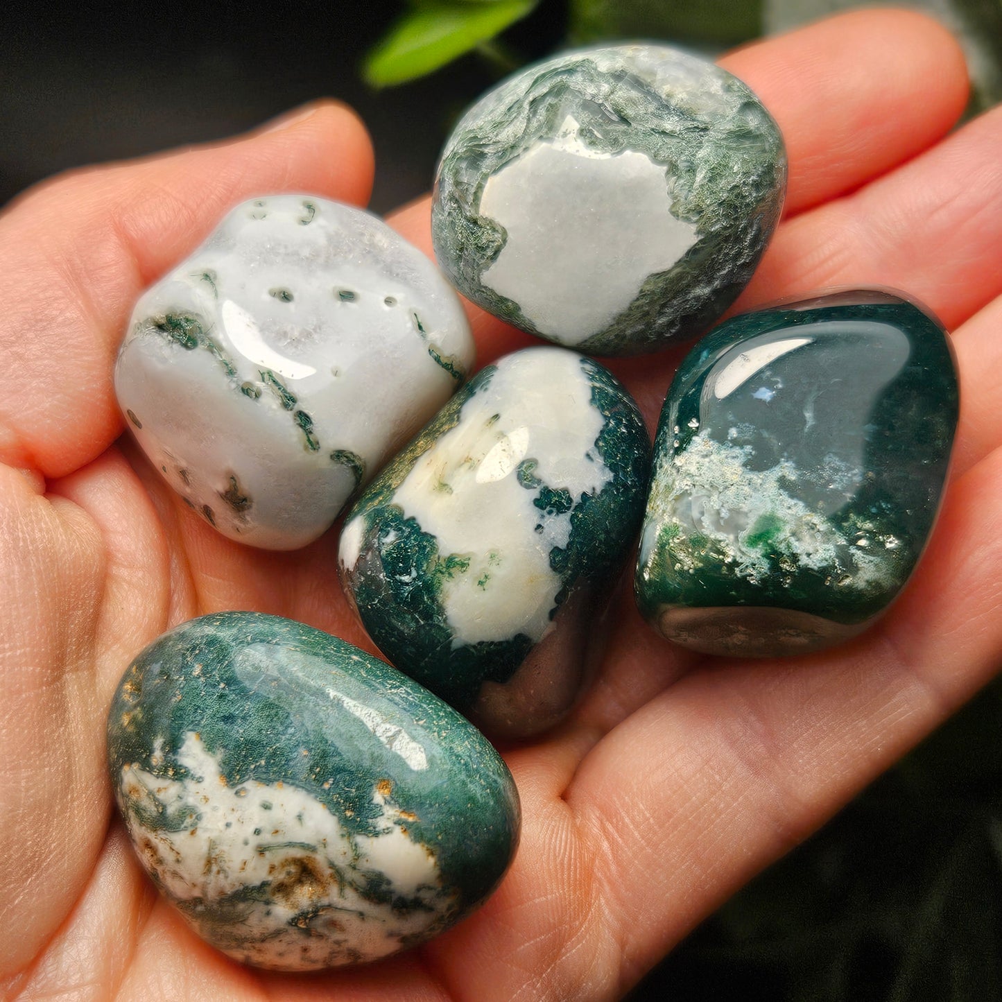 Moss Agate Crystal