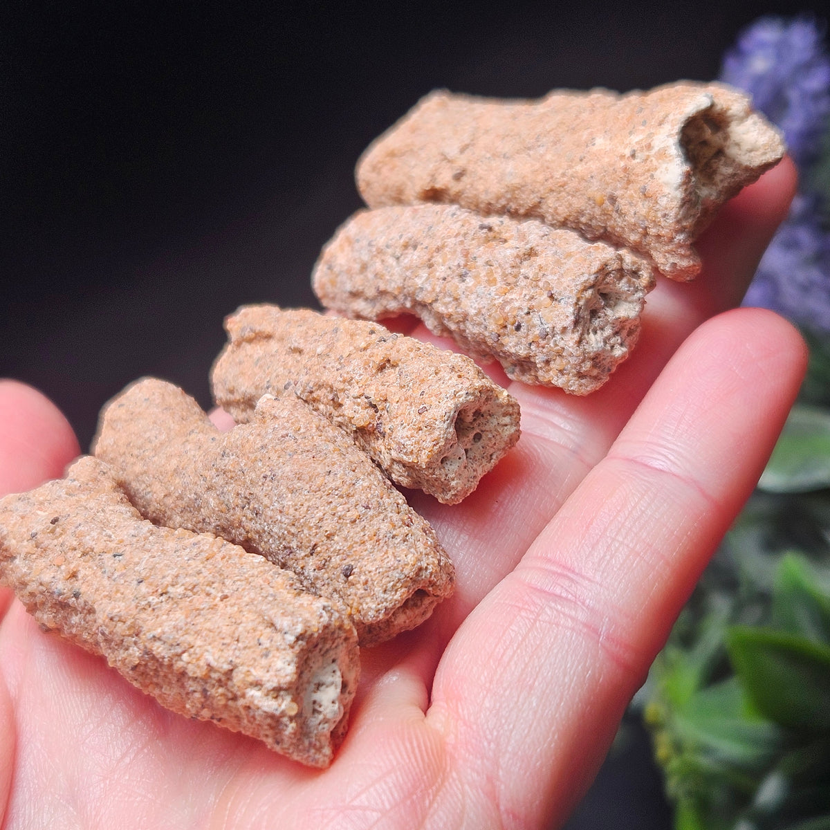 RARE Lightning Fused FULGURITE