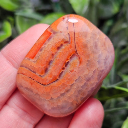 Snakeskin Agate