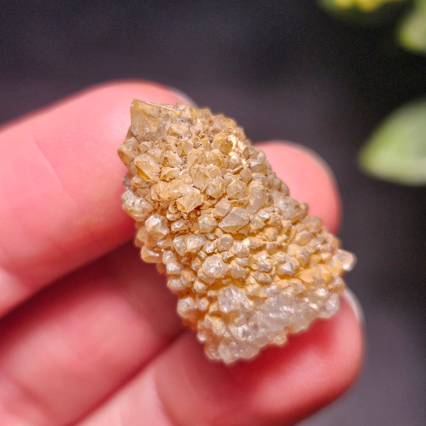 Golden Healer Spirit Quartz