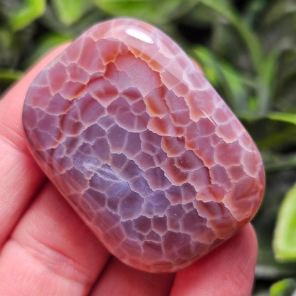 Snakeskin Agate