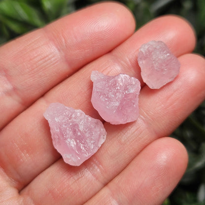 Raw Morganite