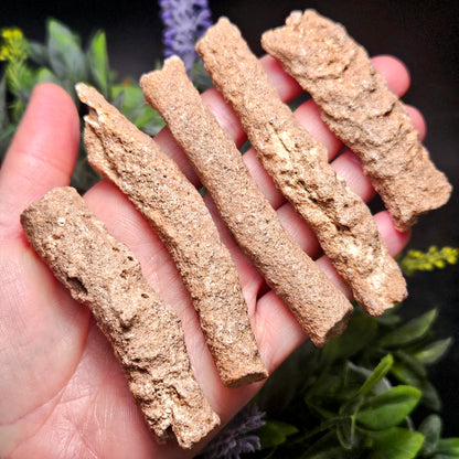 RARE Lightning Fused FULGURITE