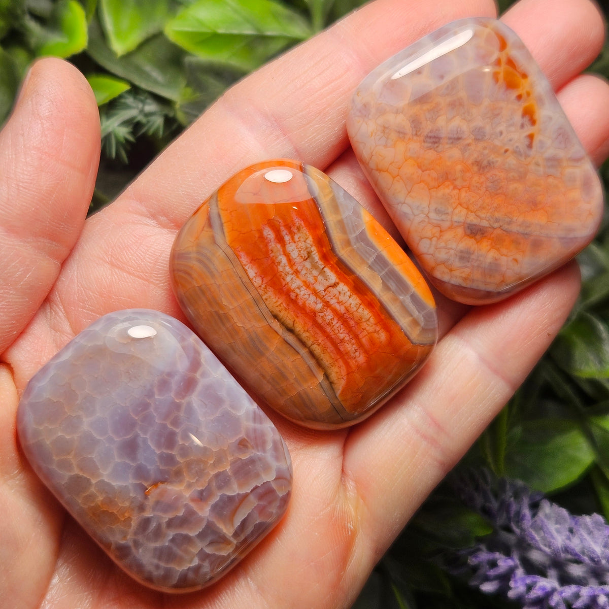 Snakeskin Agate