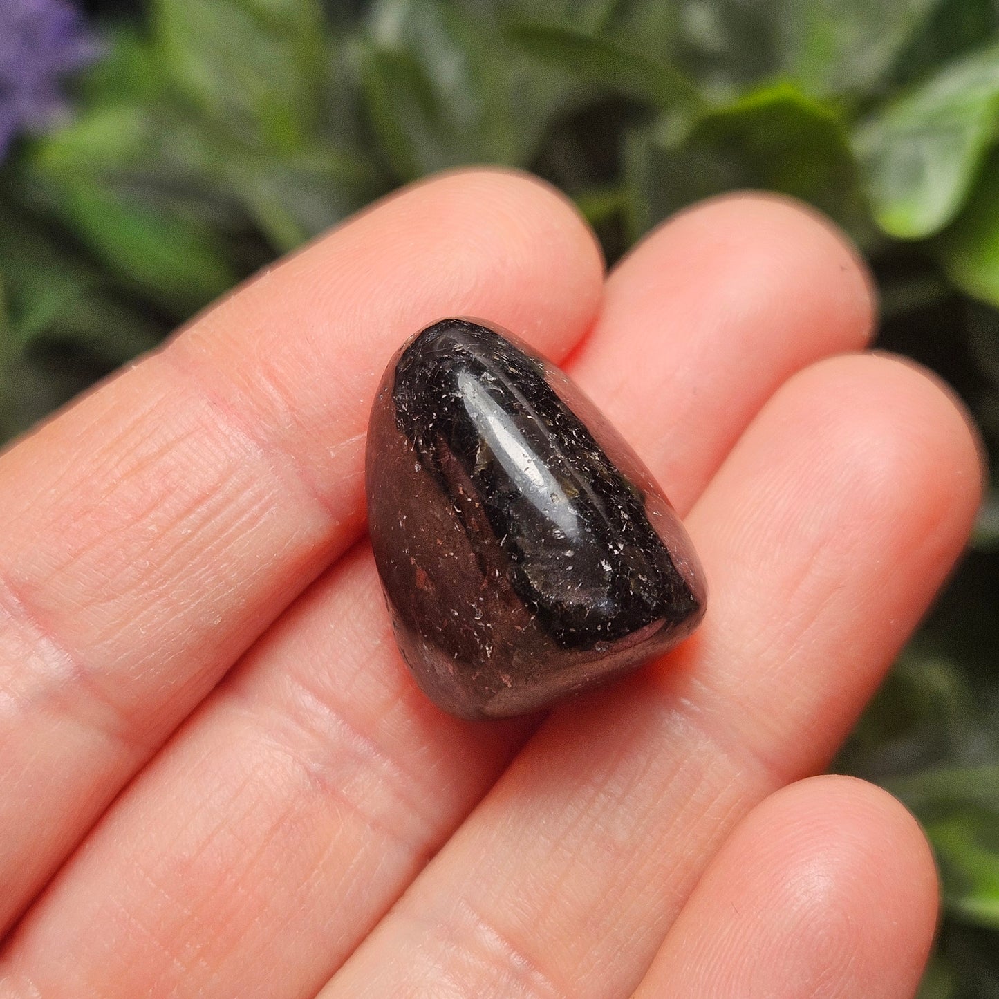 Nuummite Crystal