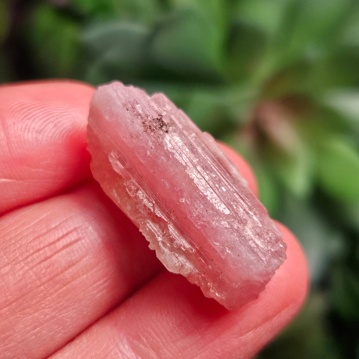 Pink Tourmaline Crystal