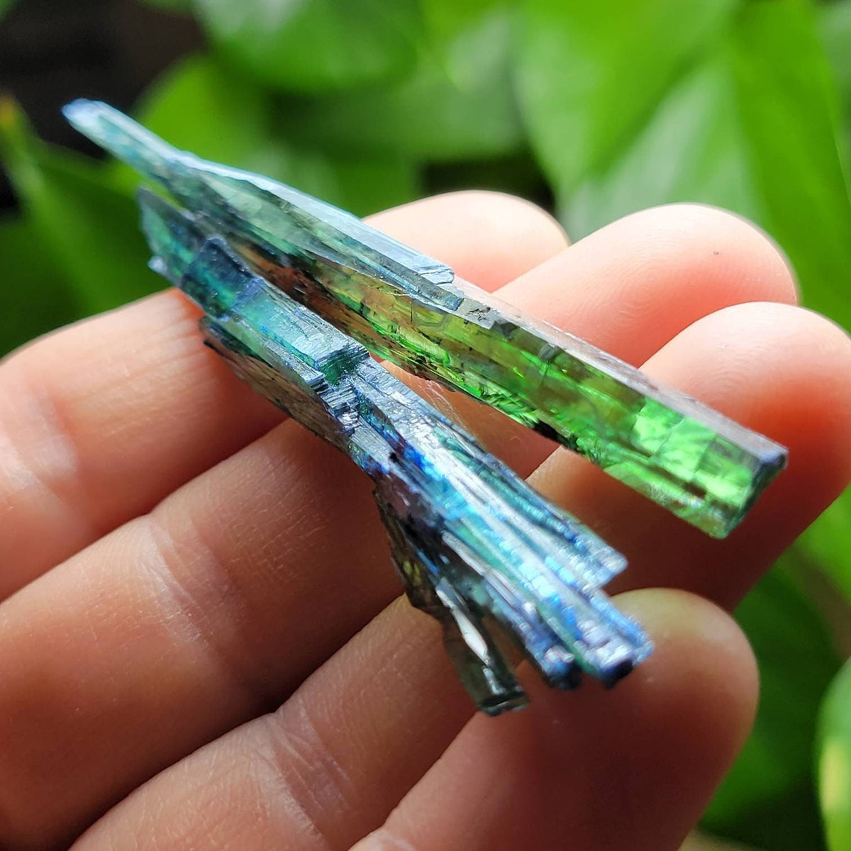 Vivianite Crystal from Brazil
