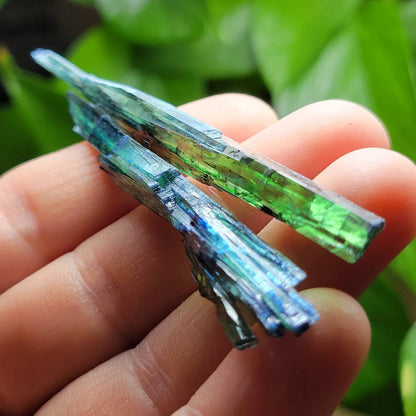 Vivianite Crystal from Brazil