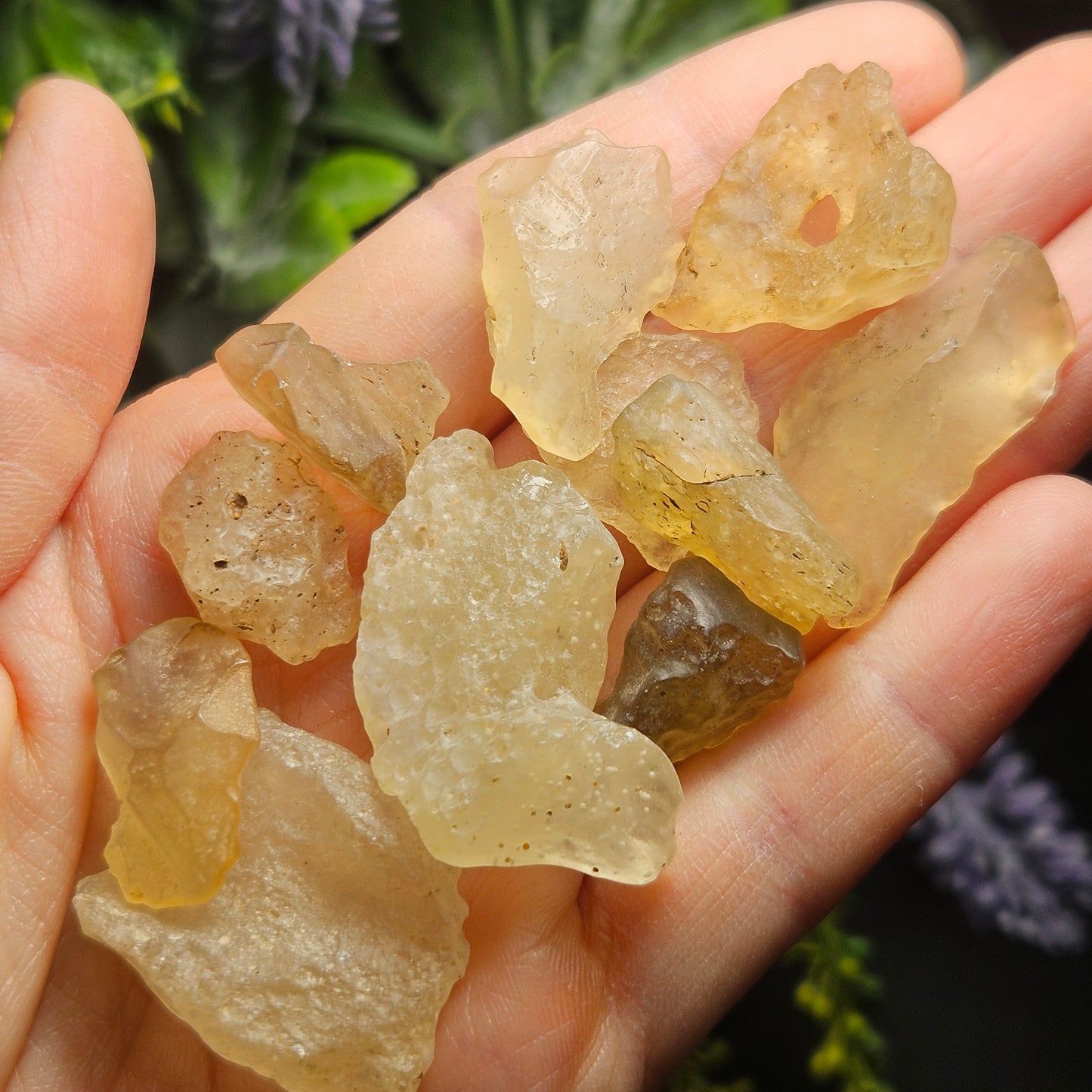 Libyan Desert Glass Specimen