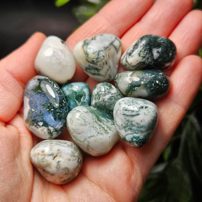 Moss Agate Crystal