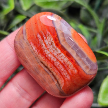Snakeskin Agate