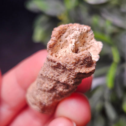 RARE Lightning Fused FULGURITE