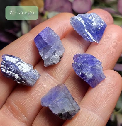 Tanzanite Terminated Raw