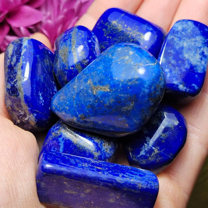 Lapis Lazuli Tumbled