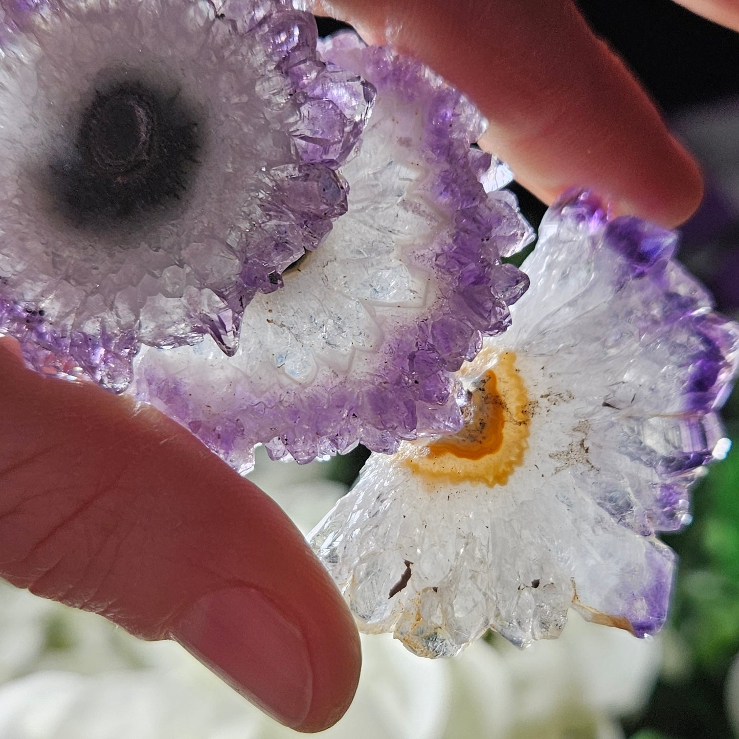 Amethyst Stalactite Slice