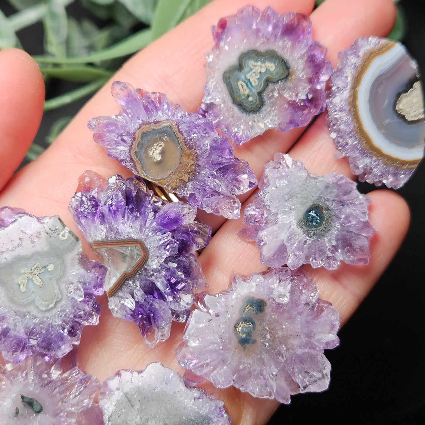 Amethyst Stalactite Slice