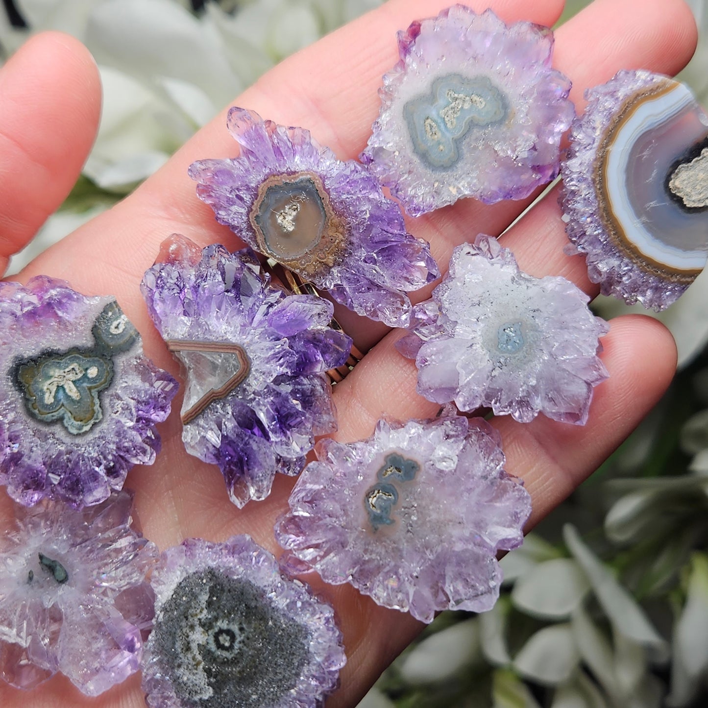 Amethyst Stalactite Slice