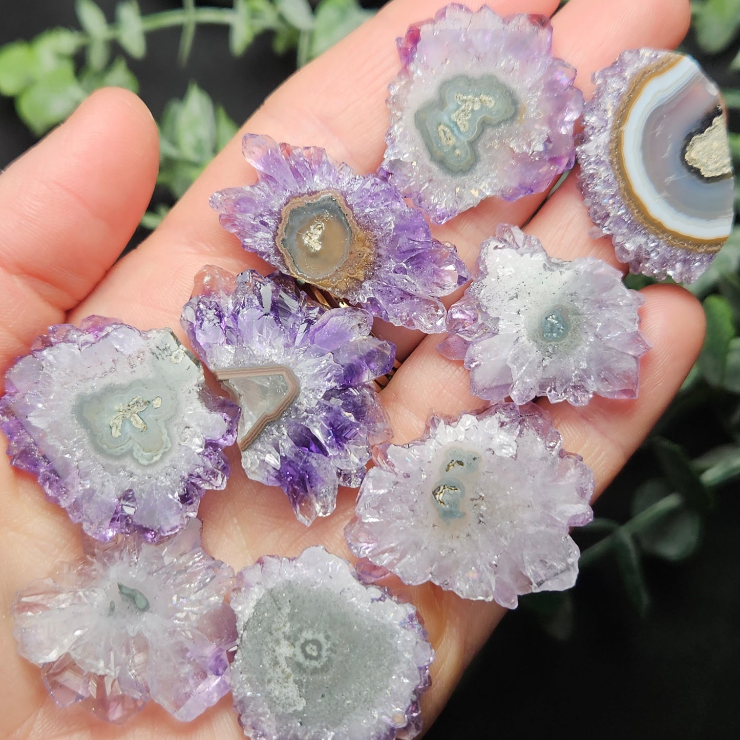 Amethyst Stalactite Slice