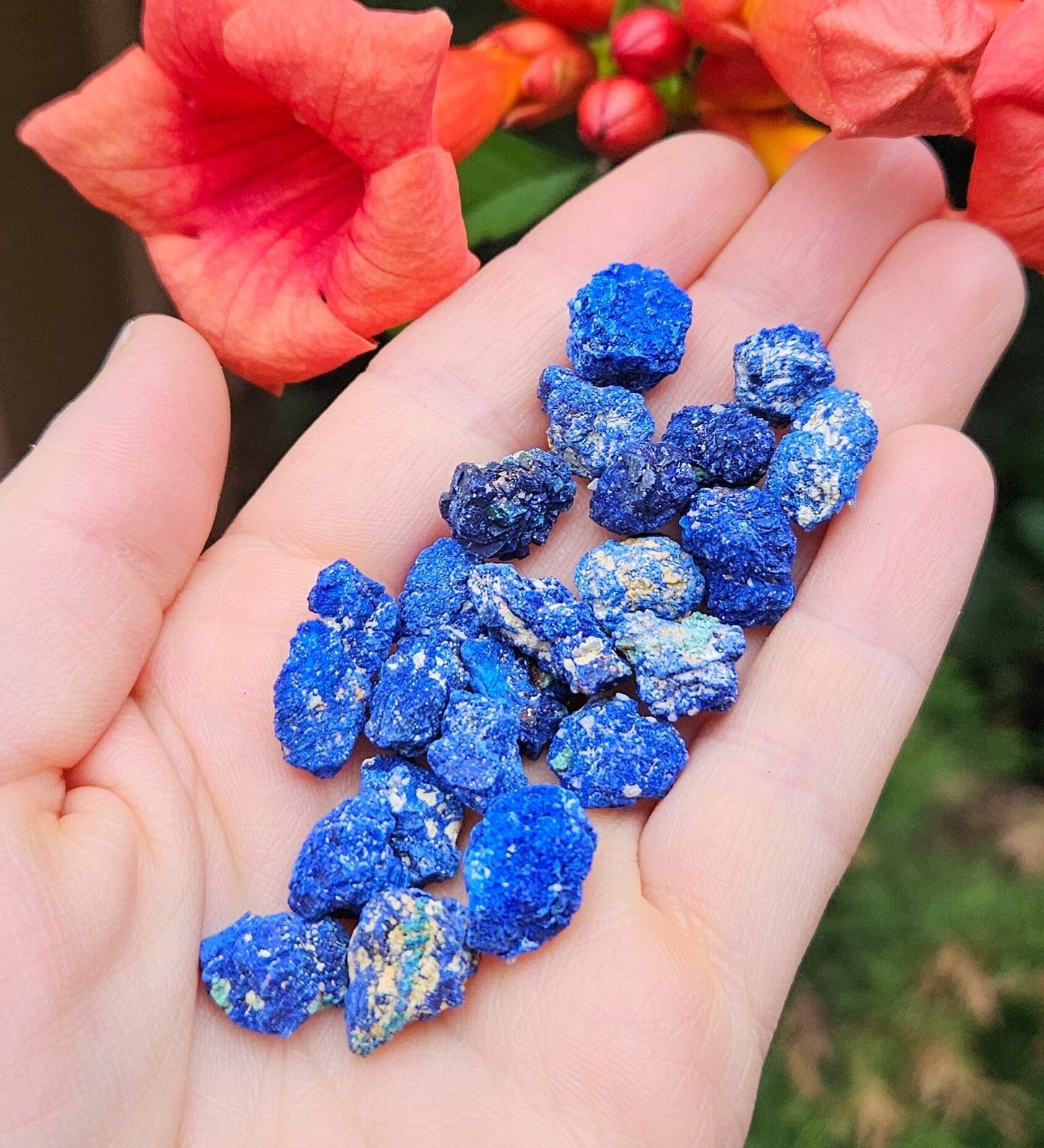 Azurite Blueberry Nodule