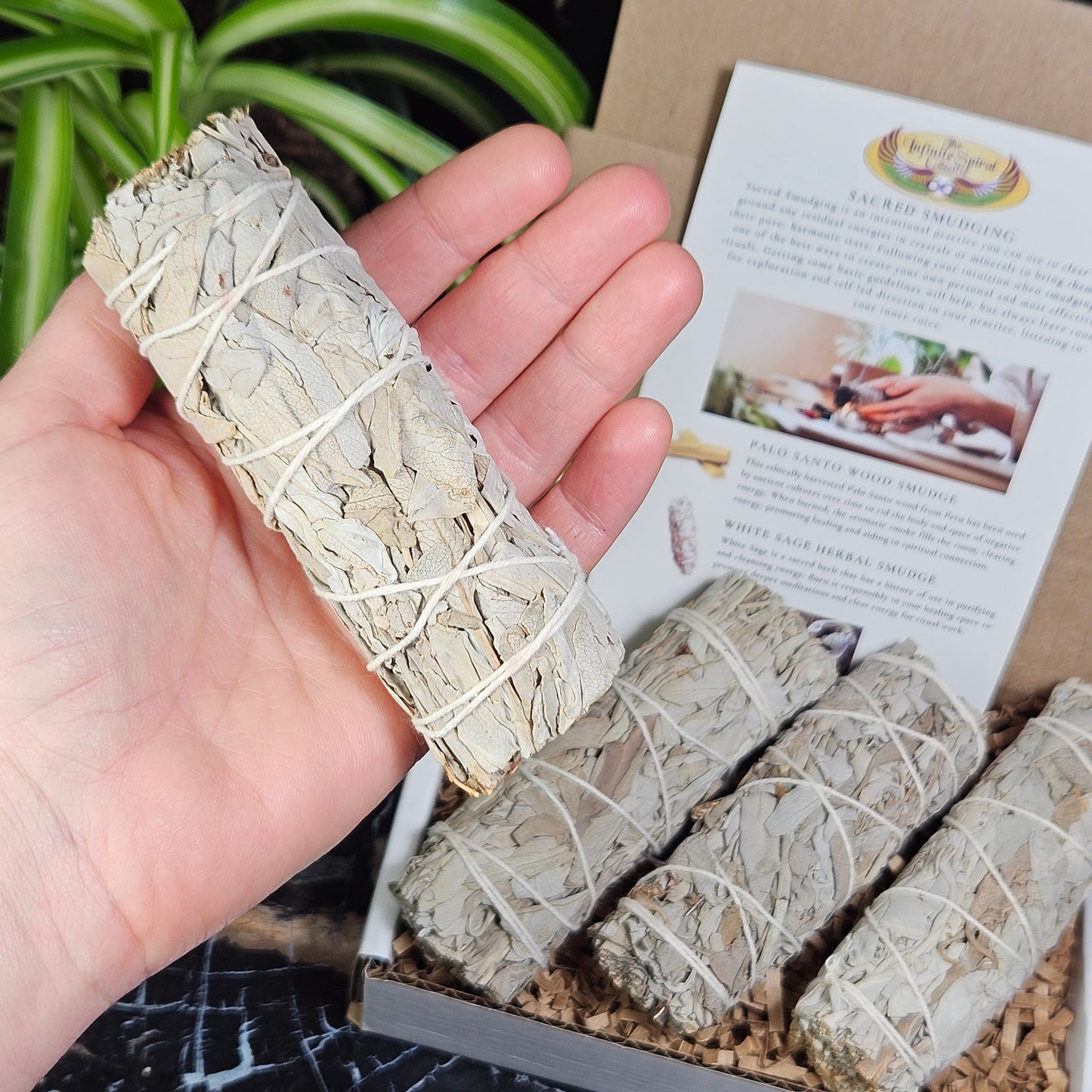 White Sage Smudge